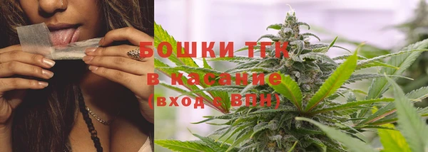 каннабис Аркадак