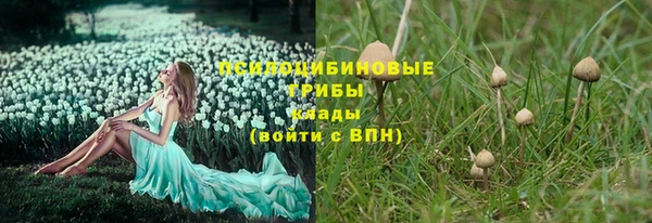 твердый Арсеньев