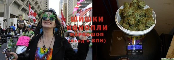 каннабис Аркадак