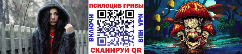где купить наркоту  Дно  Галлюциногенные грибы Cubensis 